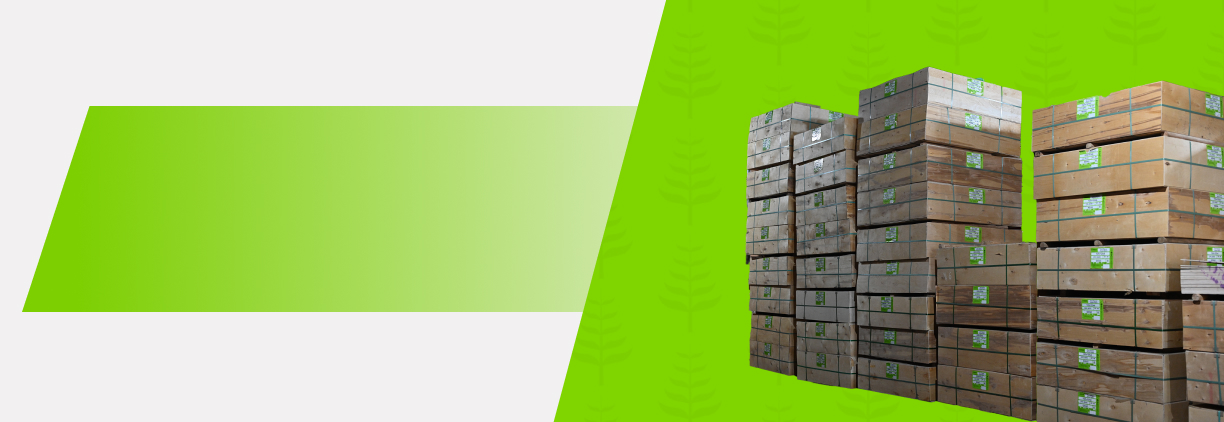 Фанера прямиком с производства new